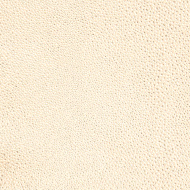 Shagreen Ivory & Silver