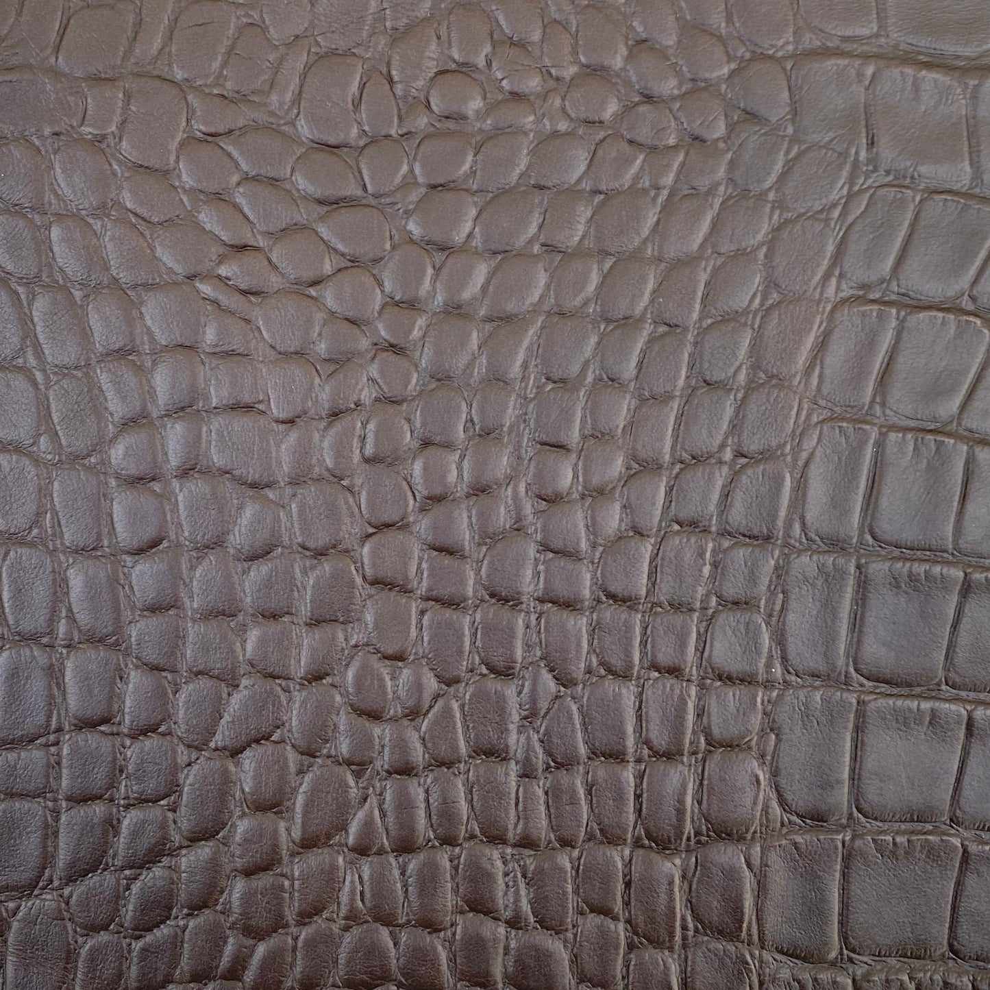 Croc Plum