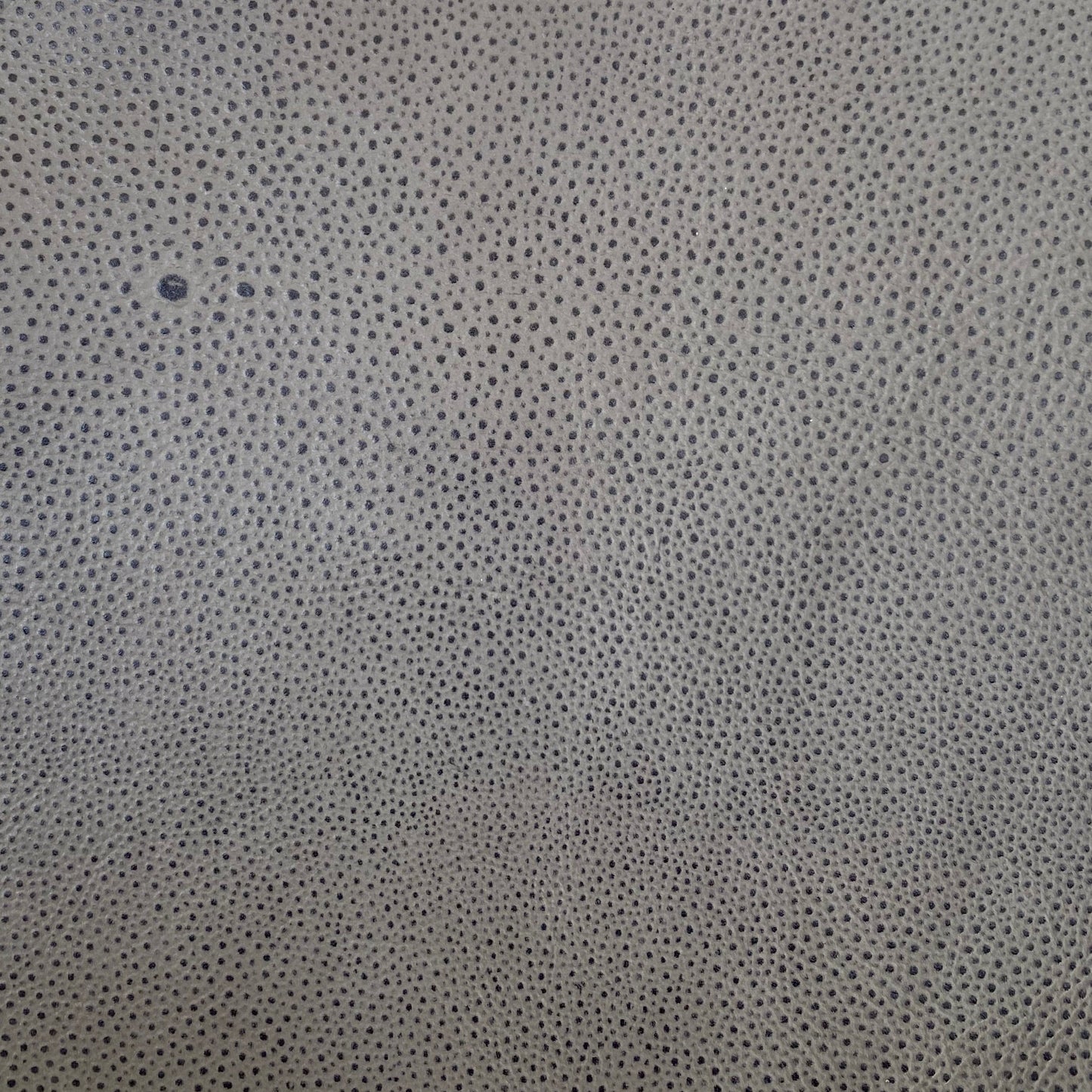 Shagreen Slate