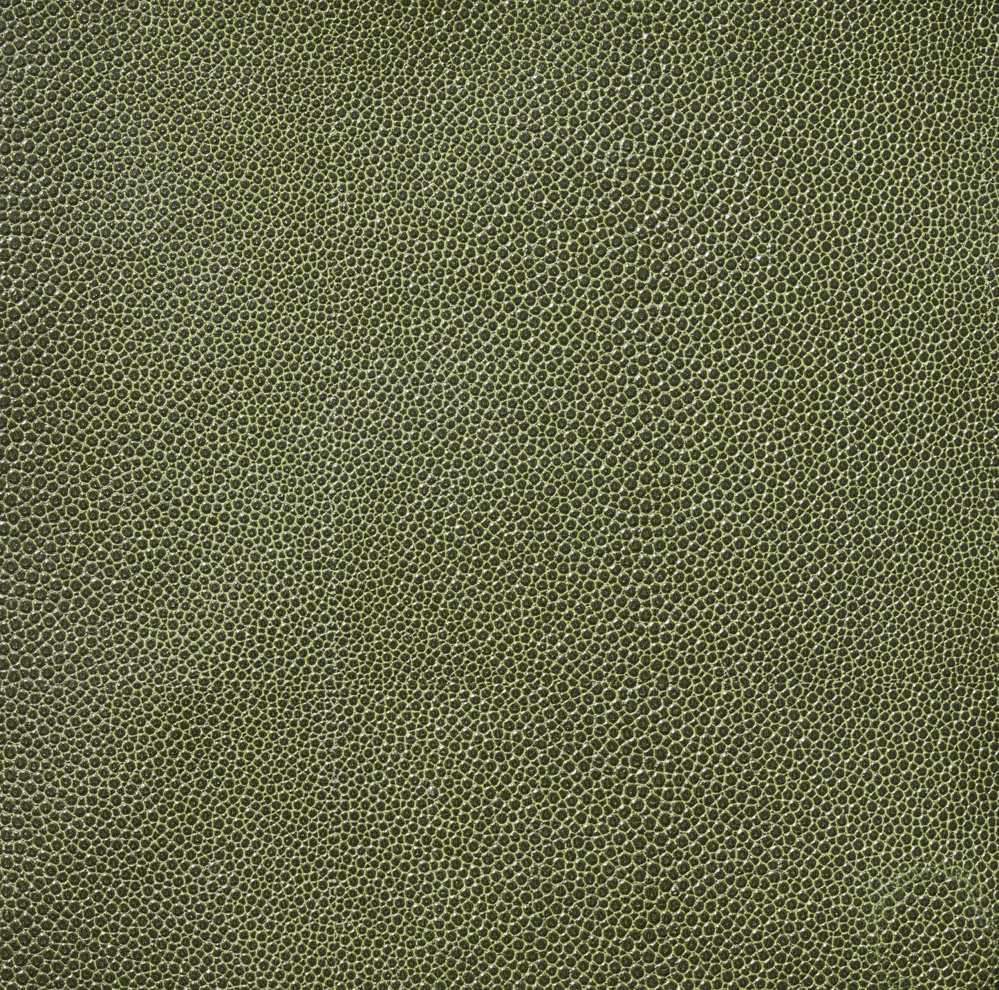 Faux Green Shagreen