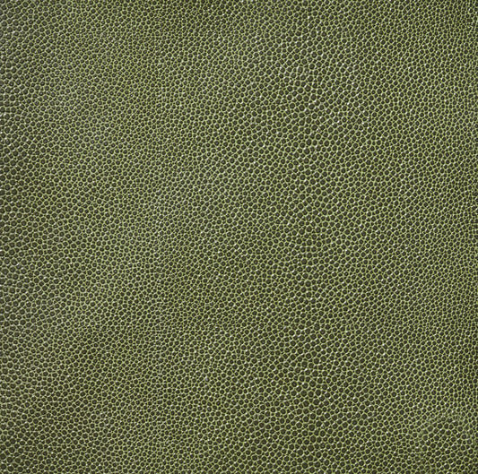 Faux Green Shagreen