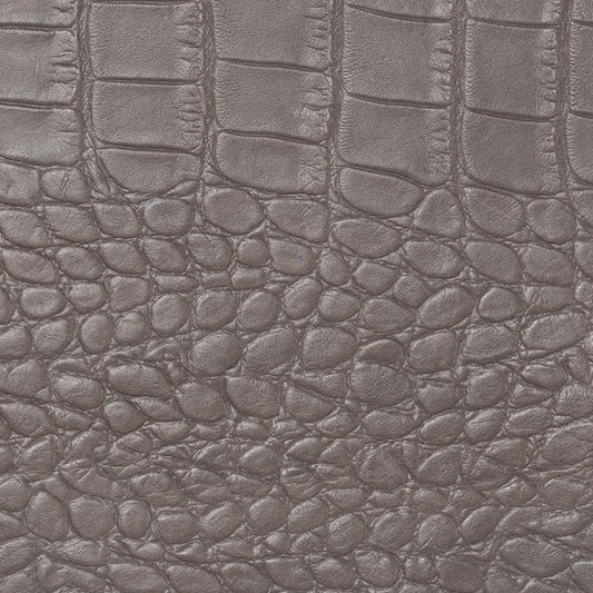 Croc Charcoal