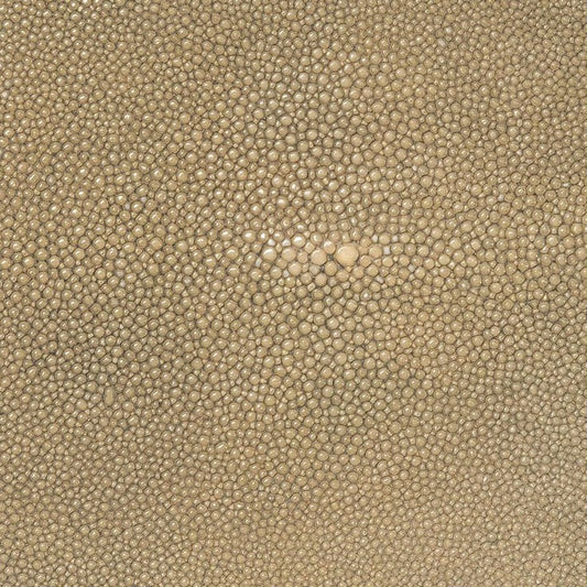 Genuine Shagreen Antique Green