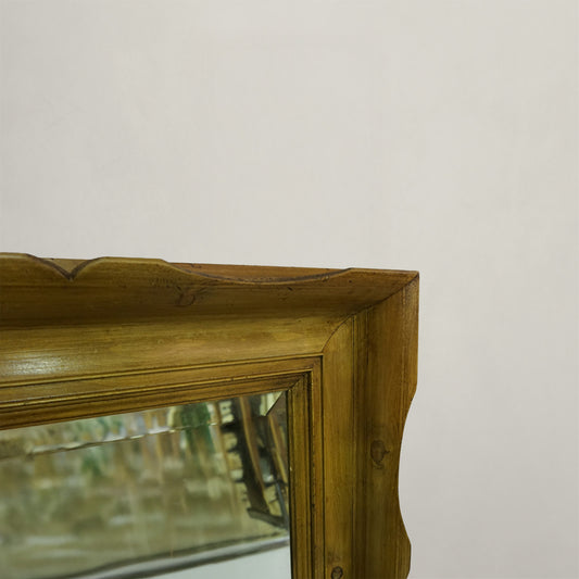 Devon Mirror