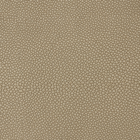 Faux Fog Shagreen