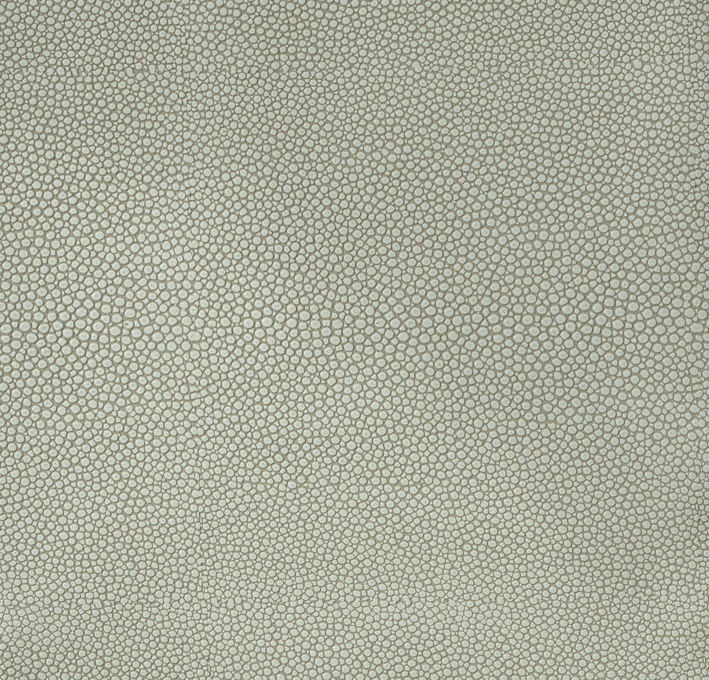 Faux Greige Shagreen